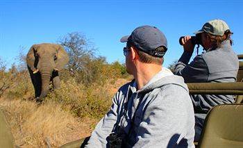 Motswari Private Game Reserve - Timbavati Klaserie Private Nature Reserve Exterior foto