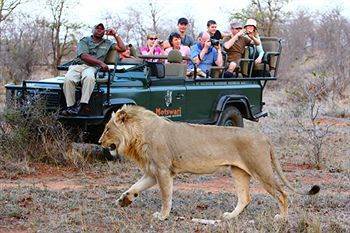 Motswari Private Game Reserve - Timbavati Klaserie Private Nature Reserve Exterior foto